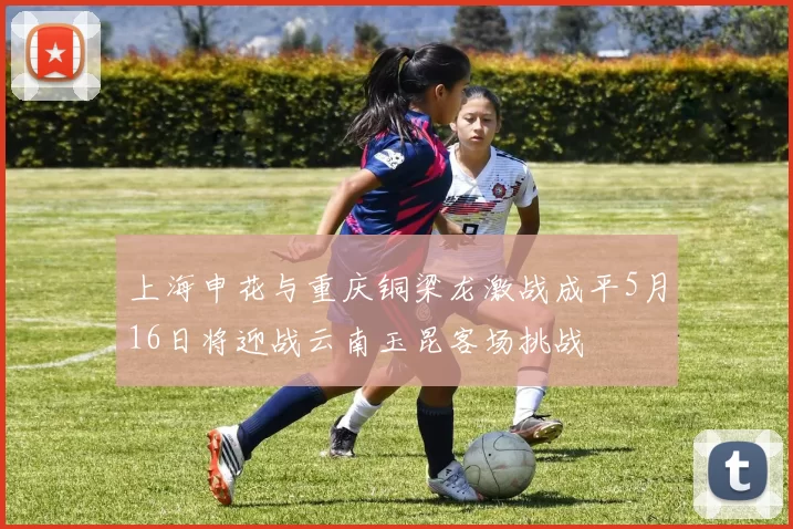 上海申花与重庆铜梁龙激战成平5月16日将迎战云南玉昆客场挑战